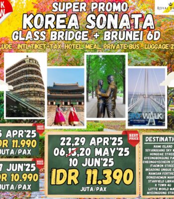 tour-apa-aja-korea-sonata