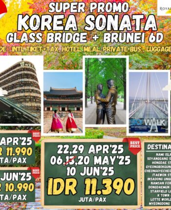 tour-apa-aja-korea-sonata